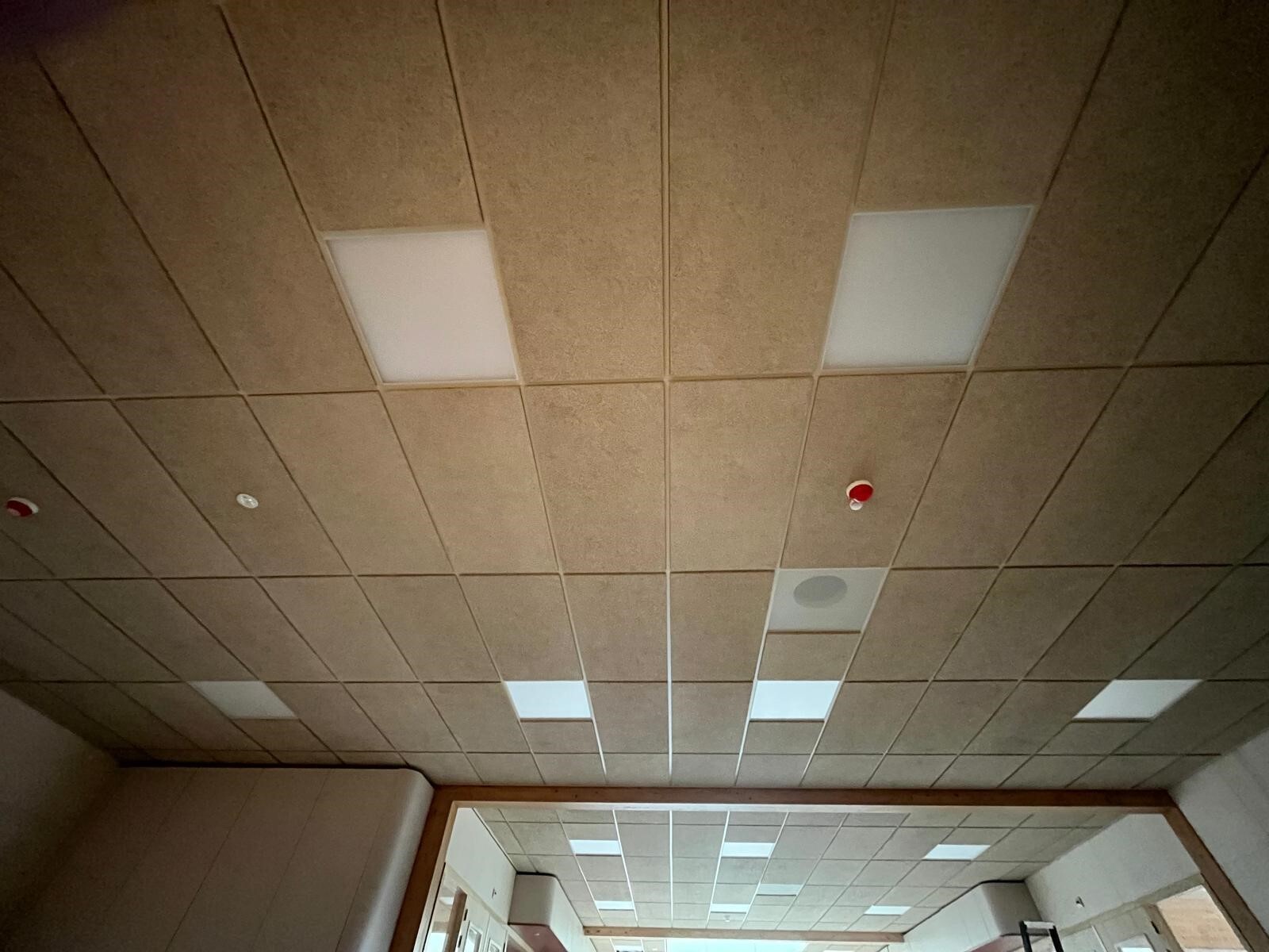 Heraklith plafond 1